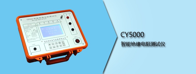 CY5000 智能絕緣電阻測(cè)試儀